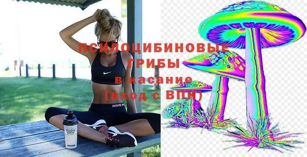 трава Надым